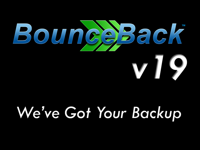 Picture of BounceBack v19