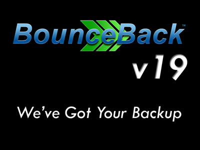 Picture of BounceBack v20