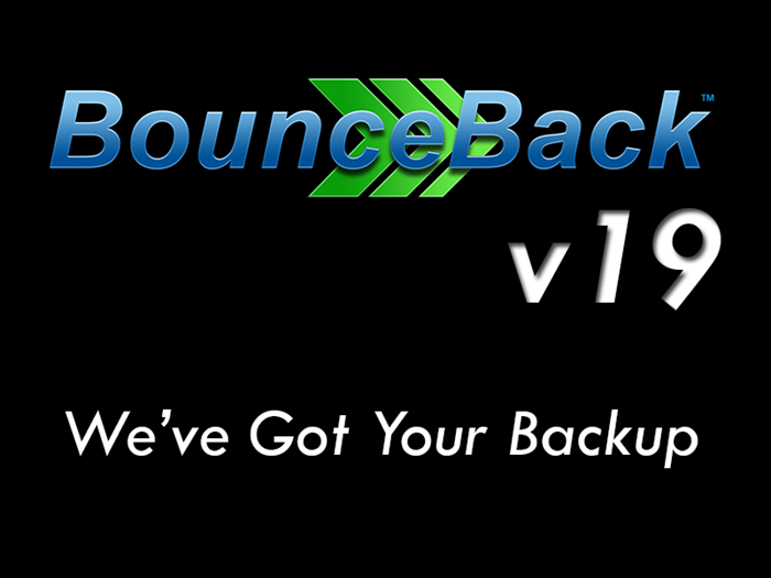 Picture of BounceBack v20